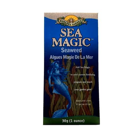 Magic seaweed the qall